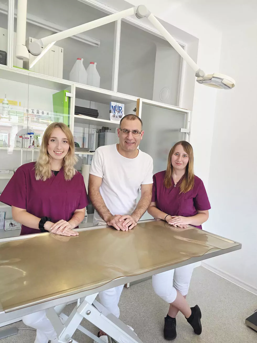 Dr. Emad Merey und sein Team, bestehtend aus zwei Tierarzthelferinnen, am Behandlungstisch